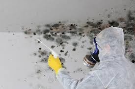 Asbestos and Lead Testing During Mold Inspection in Ronceverte, WV